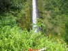 Akaka Falls State Park 13